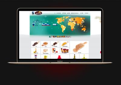 Sevan Dış Ticaret Web Sitesi Ekran Görüntüsü