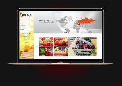 Sarıkaya Gıda Web Sitesi Ekran Görüntüsü