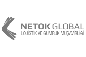 Netok Global Gümrük Müşavirliği Web Sitesi Tasarımı