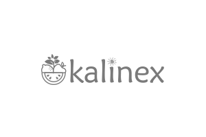 Kalinex Fruit Web Sitesi Tasarımı