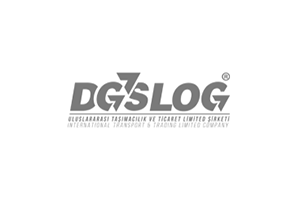 Dgslog Web Sitesi Tasarımı
